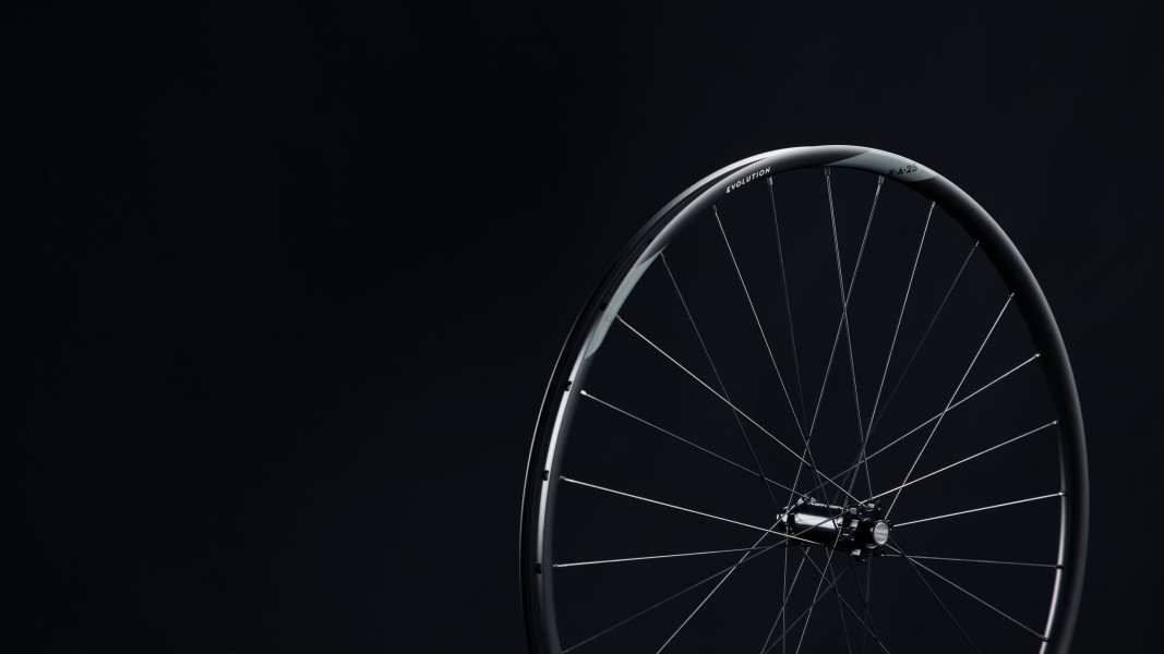 NEWMEN Rim Evolution SL X.A.25 29