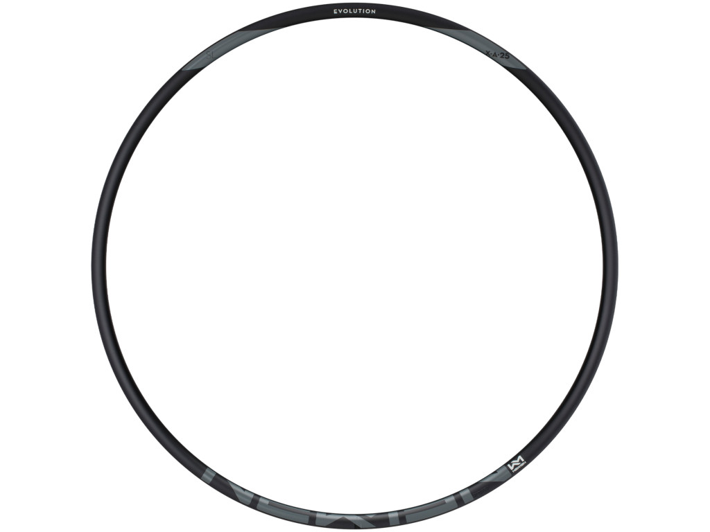 NEWMEN Rim Evolution SL X.A.25 29